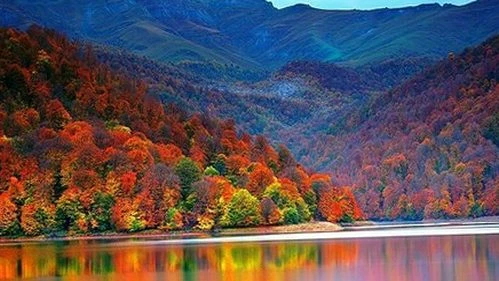 ХАЛЧА ТРЕВЕЛ (Баку)
