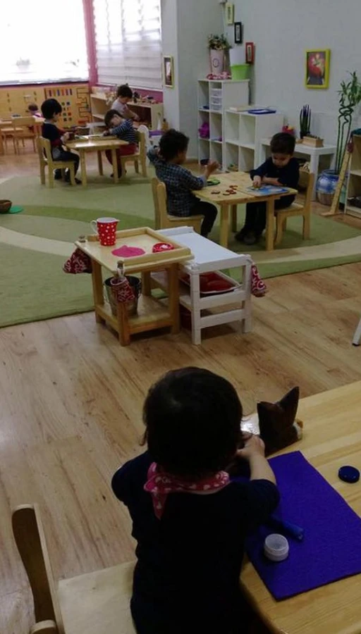 MONTESSORI CASA DE BAMBINI (Bakı)