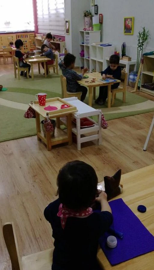 MONTESSORI CASA DE BAMBINI 2 (Баку)