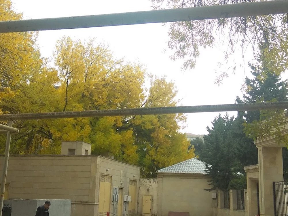 UŞAQ BAĞÇASI №82 (Bakı)