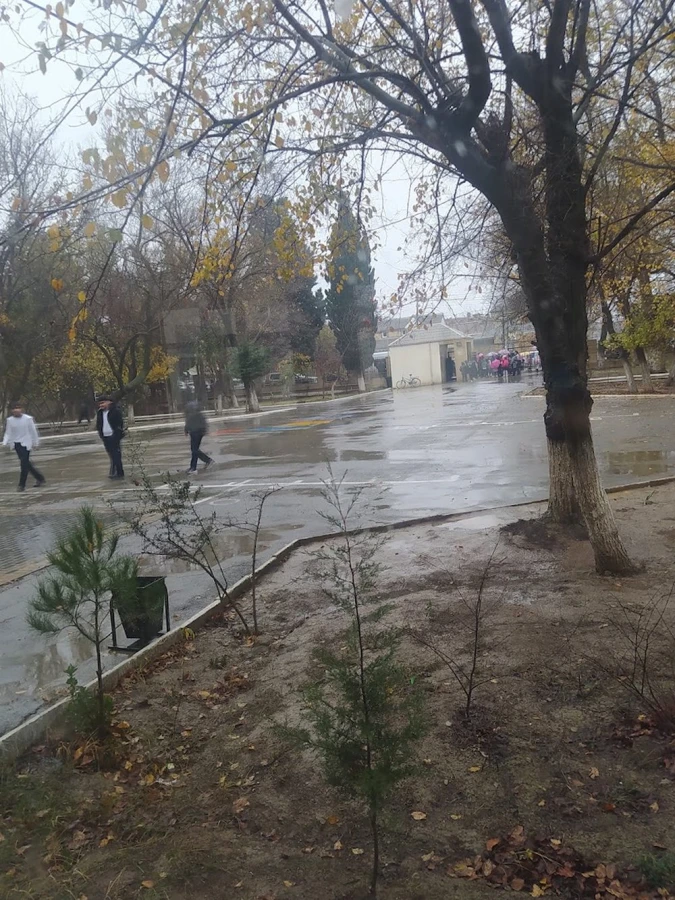 SECONDARY SCHOOL No. 302 (Baku)