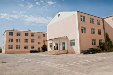 SECONDARY SCHOOL No. 313 (Baku)