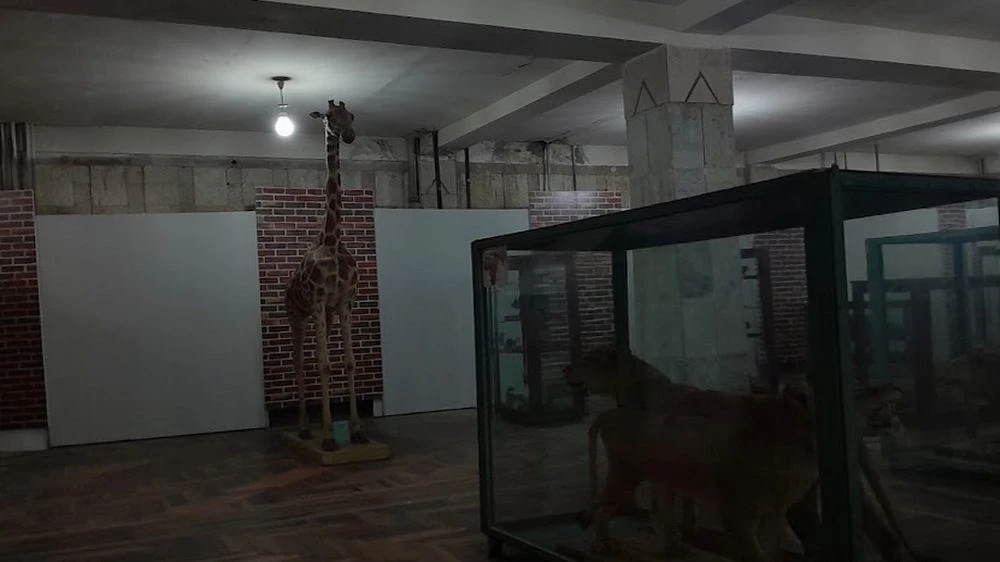 AZəRBAYCAN MILLI ELMLəR AKADEMIYASıNıN ZOOLOGIYA İNSTITUTU (Bakı)