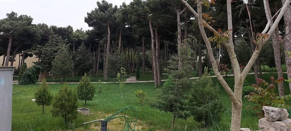 SURAXANı RAYON ICRA HAKIMIYYəTI (Bakı)