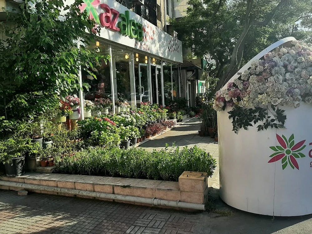 Azalea цветочный салон (Баку)