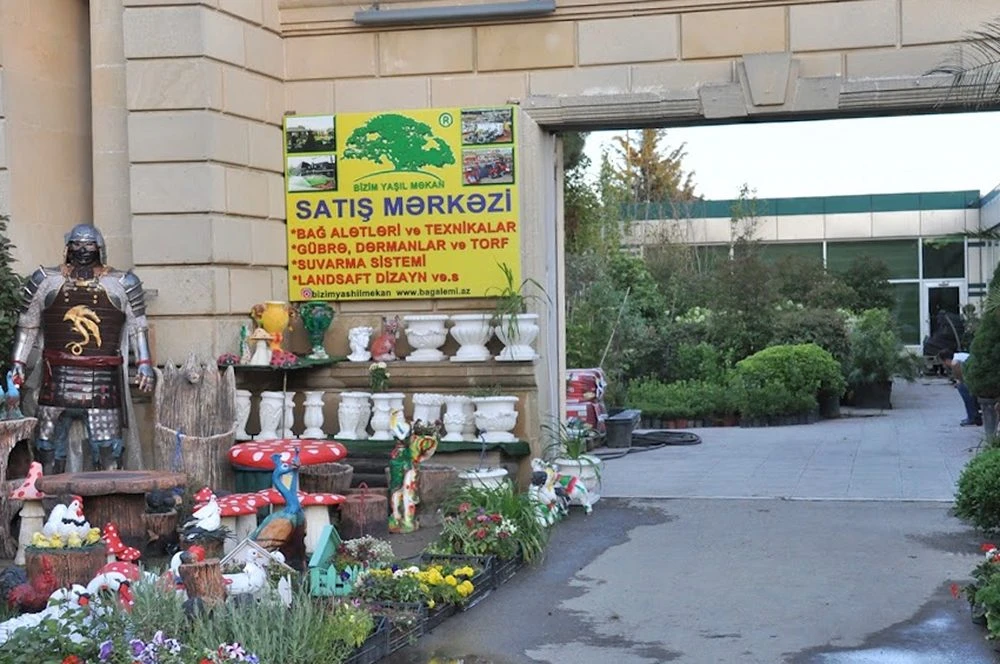 Bizim Yashil Mekan Decorative Trees Sales (Baku)