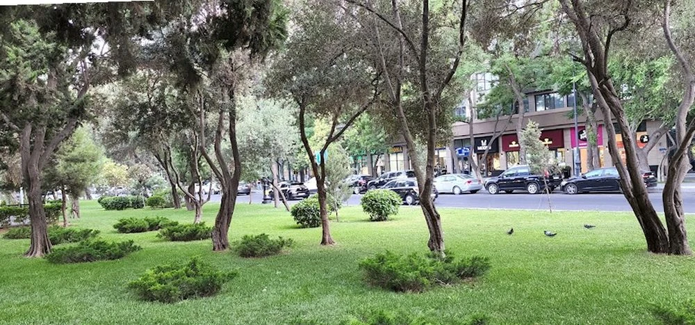 Ataturk Avenue (Baku)