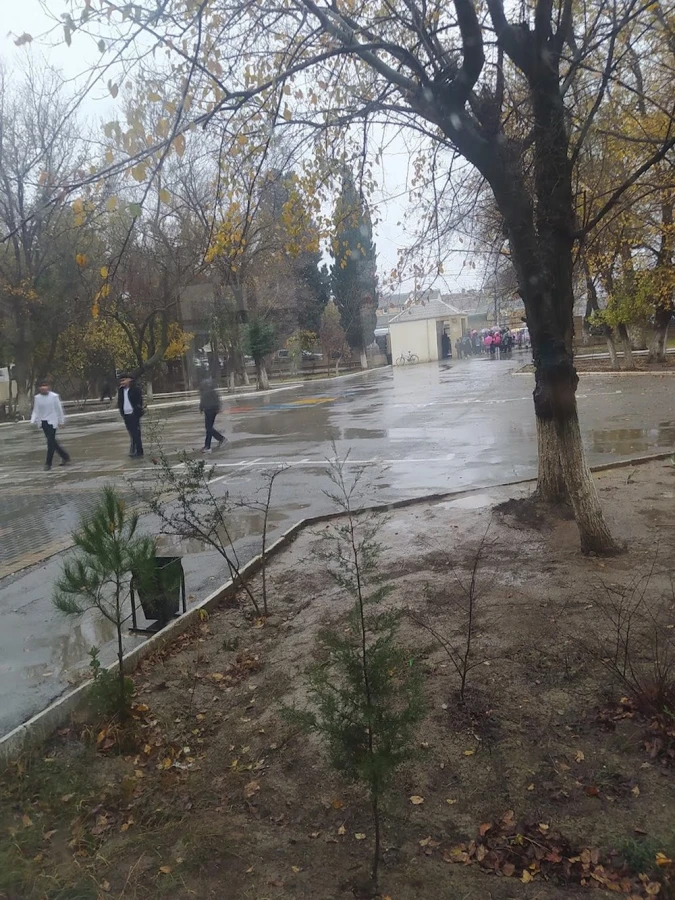 Secondary School No. 302 named after Ahmad Zeynalli (Baku)
