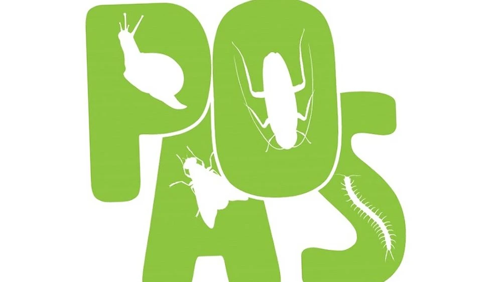 Paos dezinfeksiya firmasi (Baku)