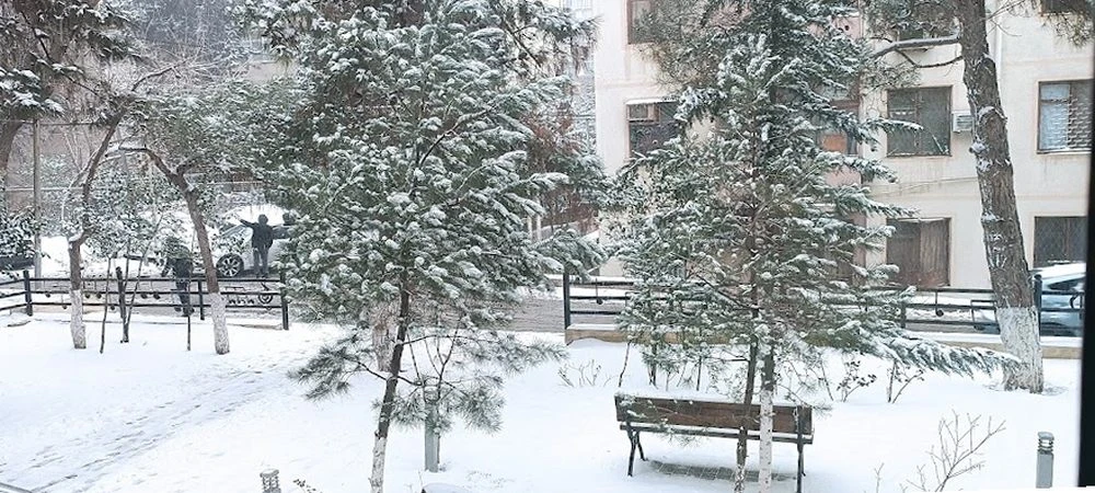 Одиннадцатилетняя музыкальная школа №20 имени Ш. Алекперовой (Баку)