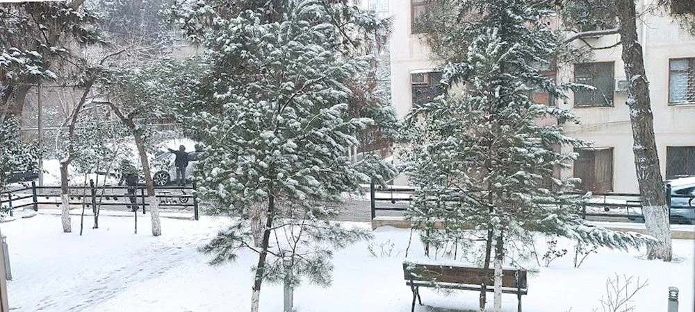 Ş.Ələkbərova adına 20 №-li Onbirillik Musiqi Məktəbi (Bakı)