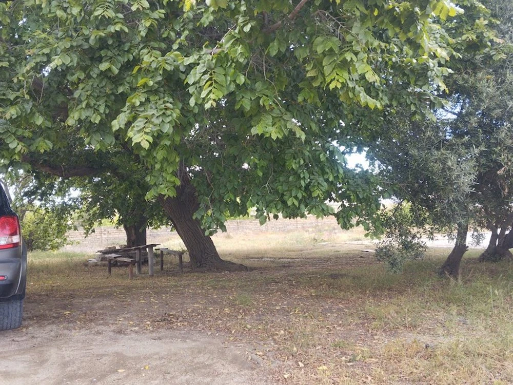 Pirşağı bağları (Bakı)