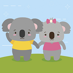 KOALA SHOP (Bakı)