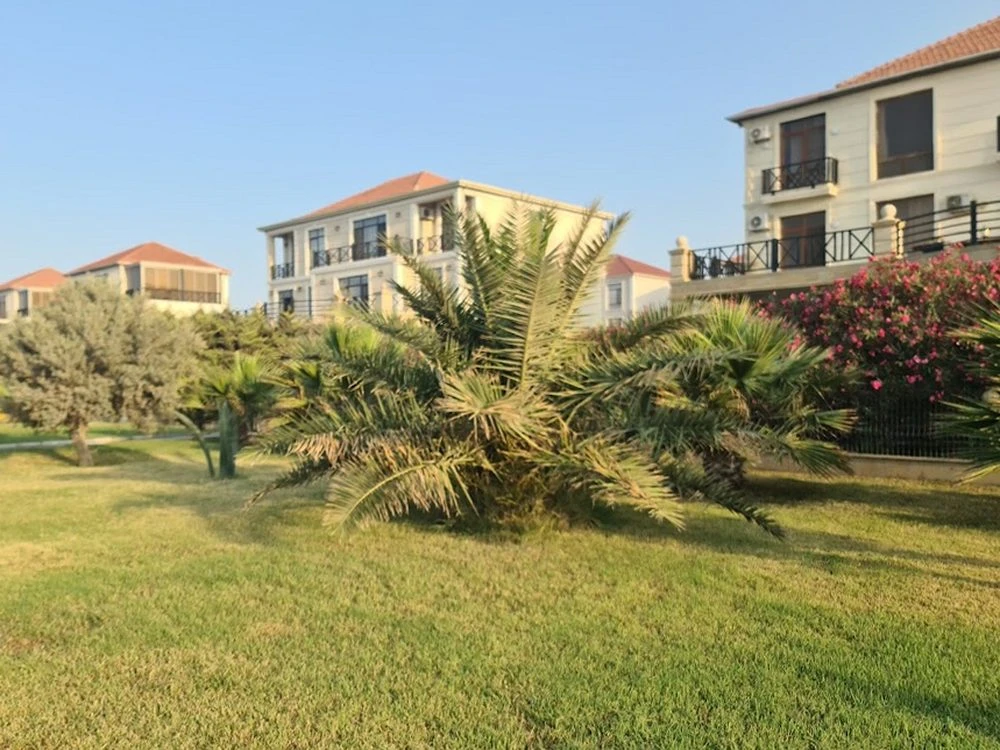 Delmar Buzovna (Bakı)