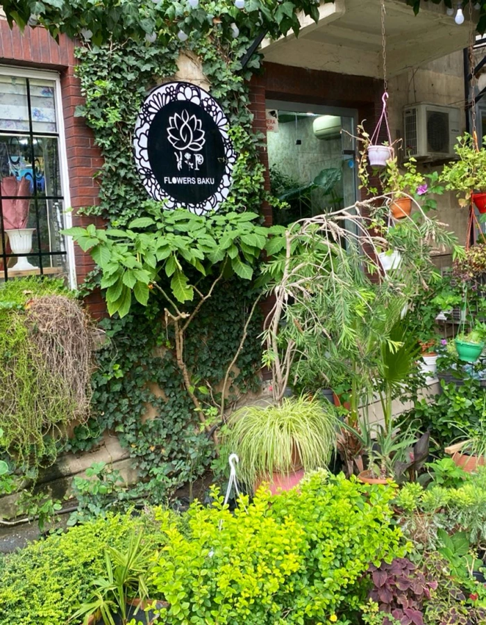 VIP Flouers gül salonu (Bakı)