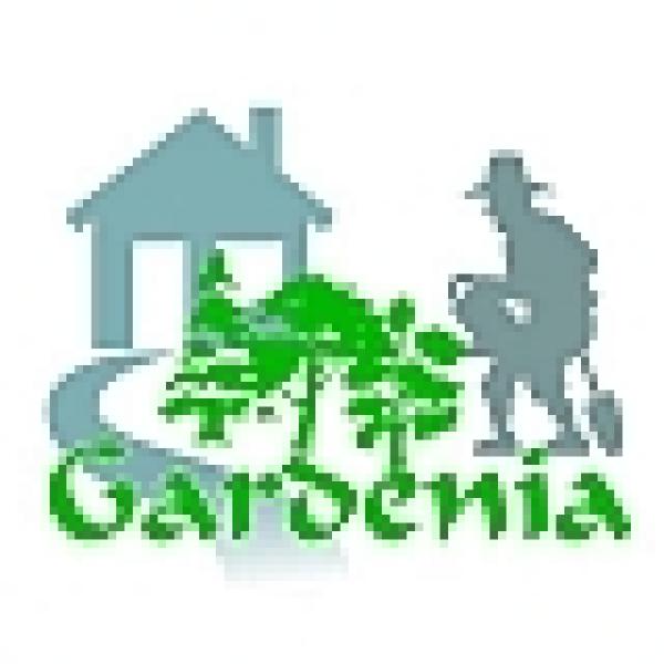 Gardenia Genclik m. (Decorative plants, flowers) - Gun.az