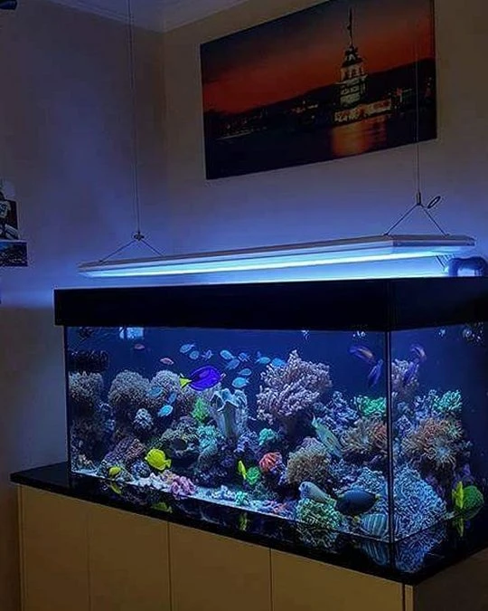 SALON HK (Bakı)