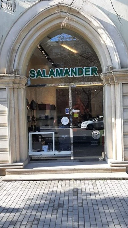 SALAMANDER ELMLER (Baku)
