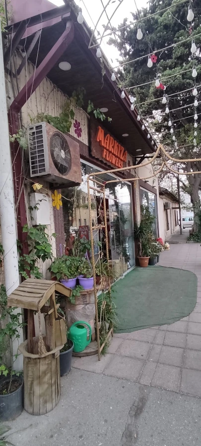 MARKİZA FLOWERS (Bakı)