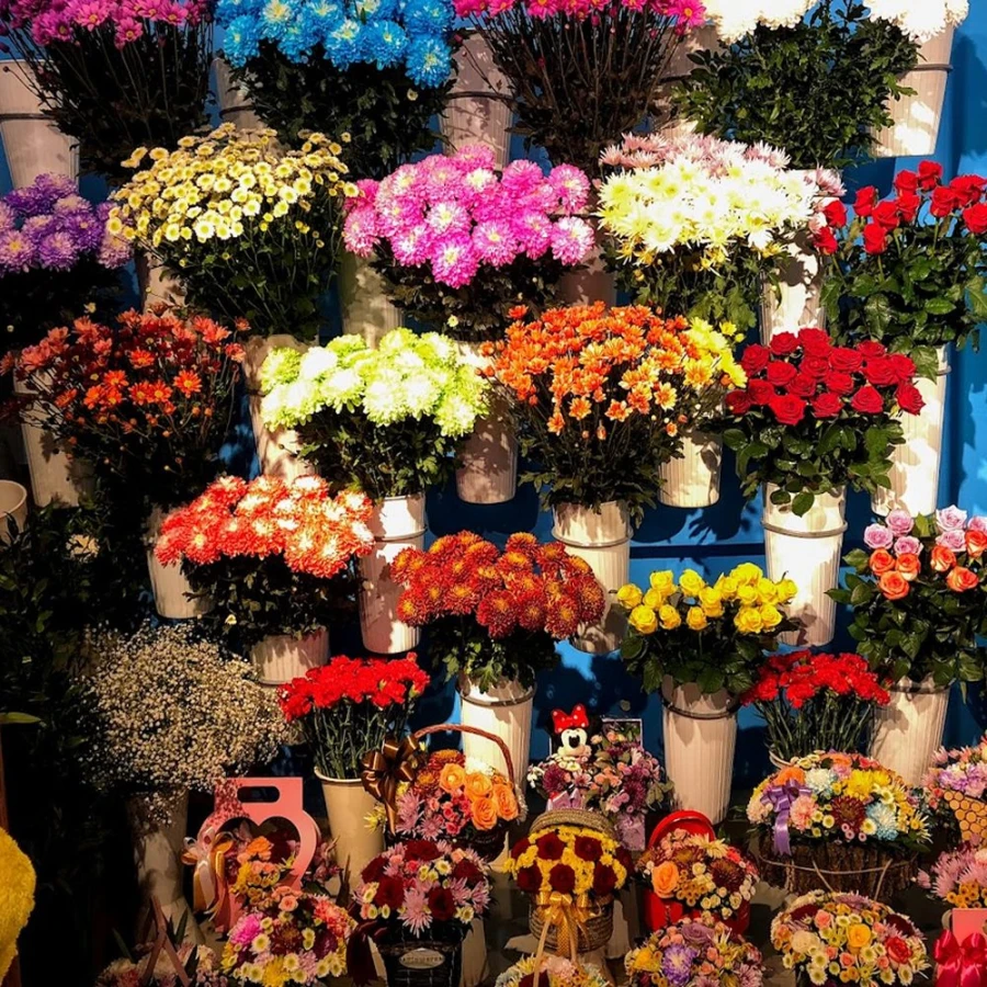 VIOLET FLOWERS (Bakı)