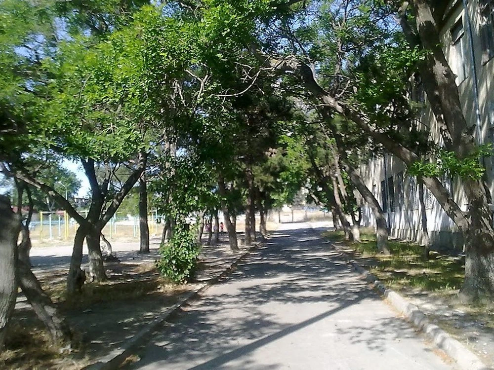 210 nömrəli tam orta məktəb (Bakı)
