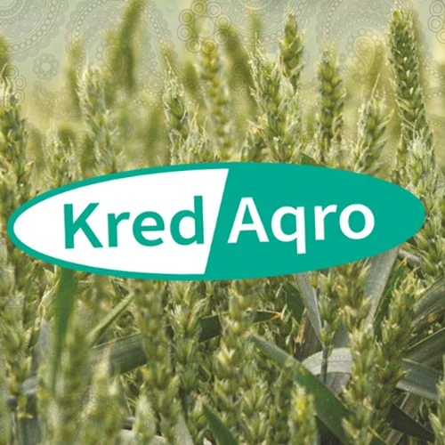 KREDAQRO BAş OFIS (Bakı)