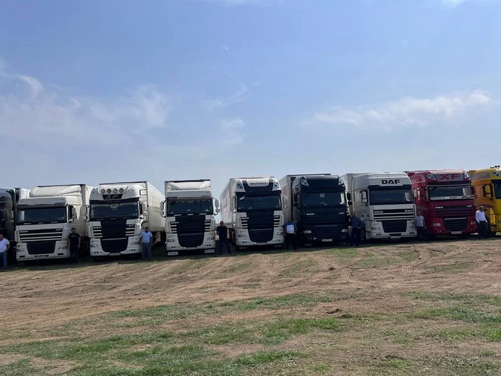 SHARK LOGISTICS (Bakı)