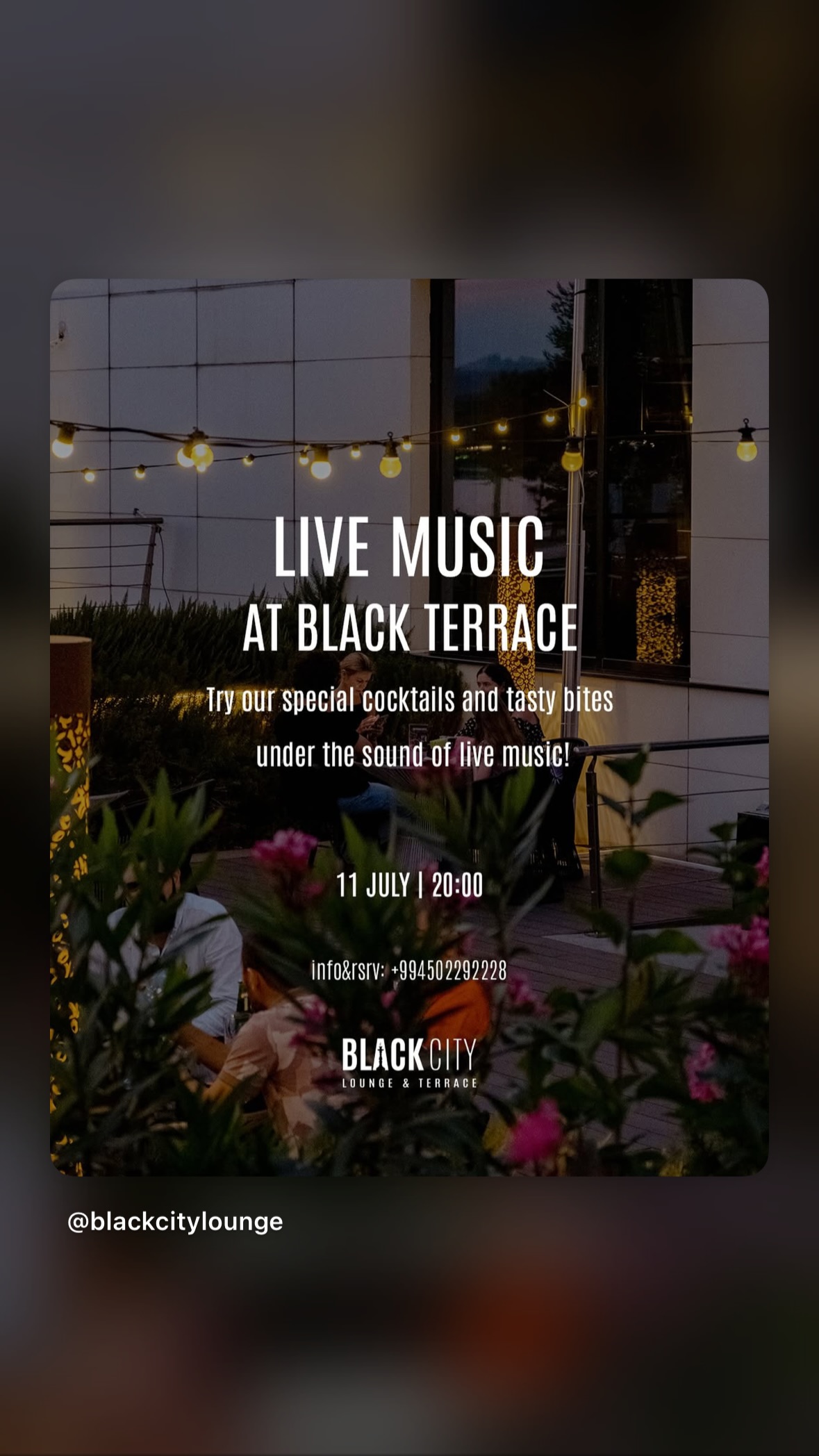 Black City Lounge-da Canlı Musiqi