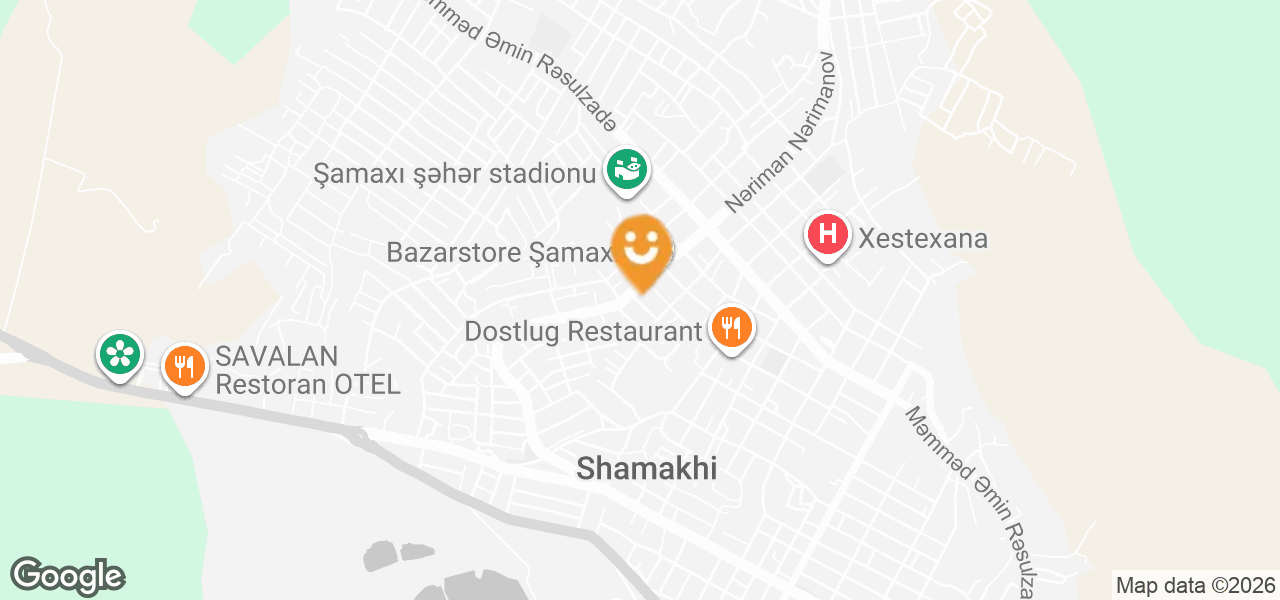 Dolphin (Shamakhi)