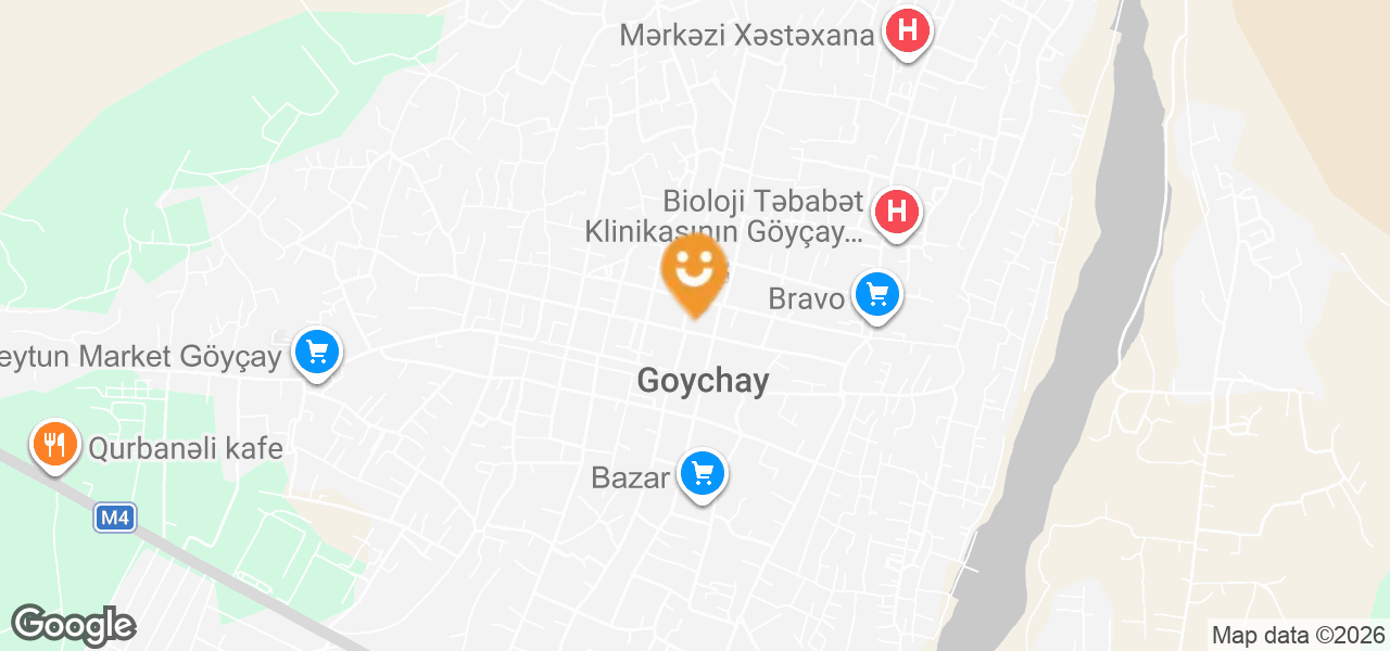 Arif Mammadov Children's Music School, Goychay City