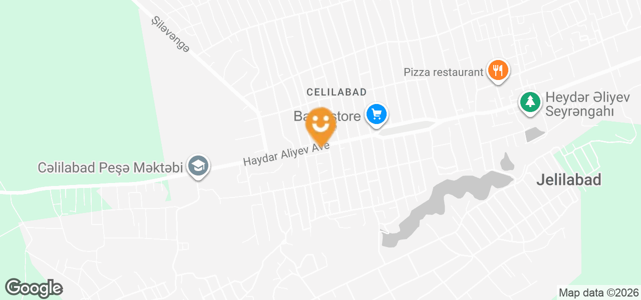 Trenajor zalı (Cəlilabad)