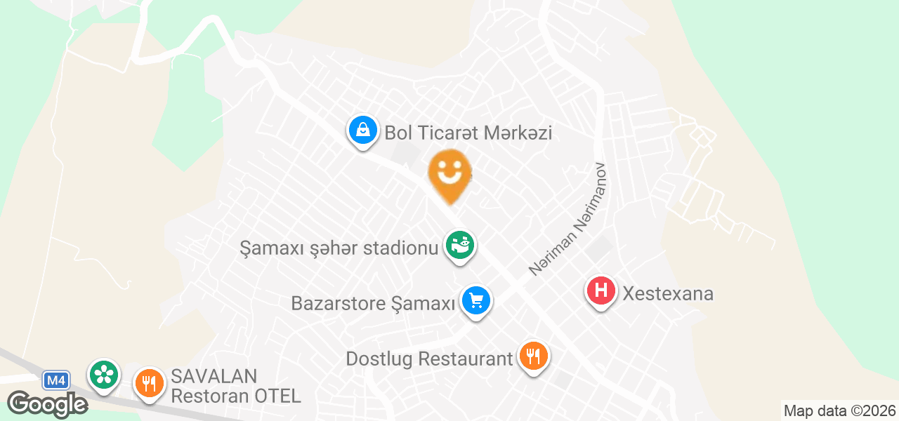 Household Appliance Repair (Shamakhi)