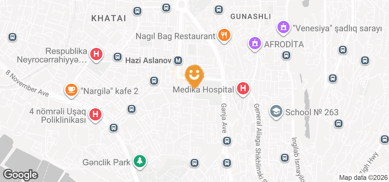 Household Appliance Repair (Baku)