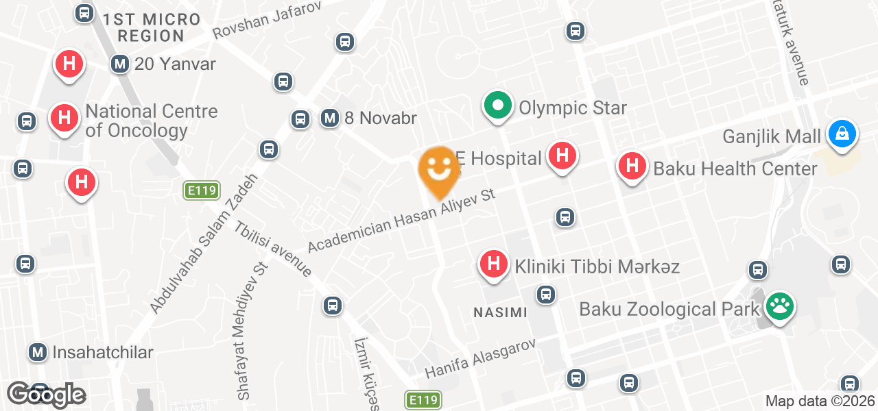 Bicycle Repair (Baku)