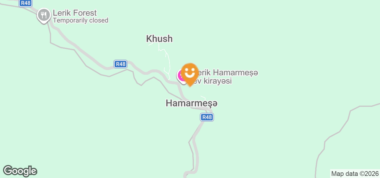 Hamarmeşə (Lerik)