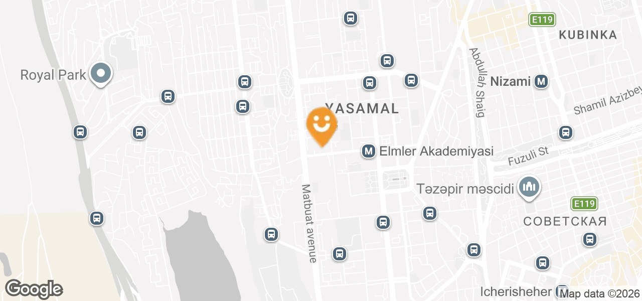 Institute of Control Systems ANAS (Baku)