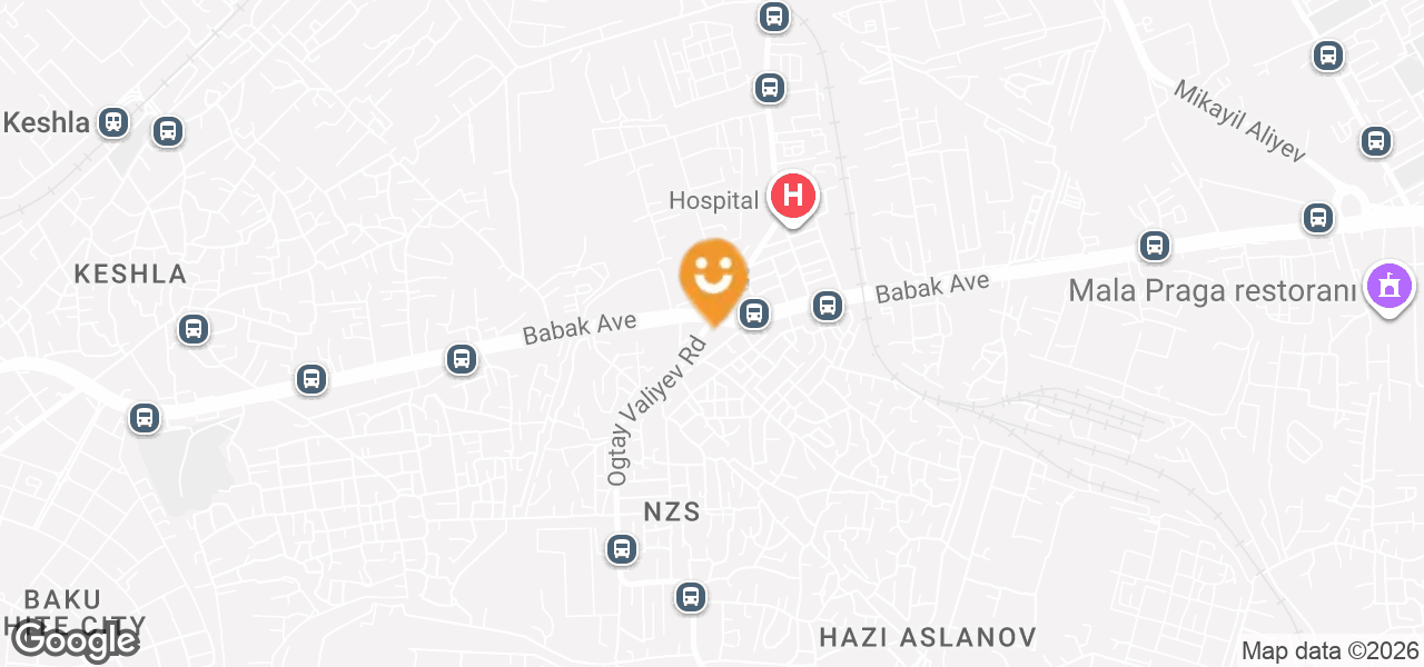 Elster Gas Meters Store (Baku)