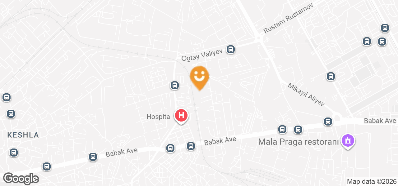 Badamli Baku компания