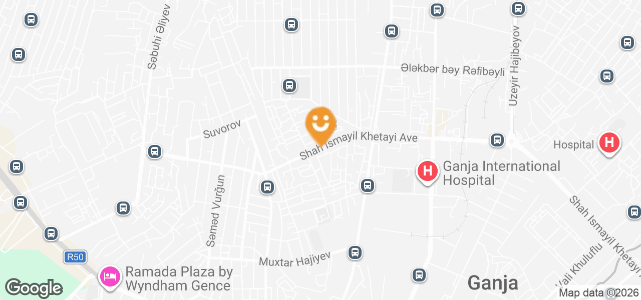 Tesla mağazası (Gəncə)