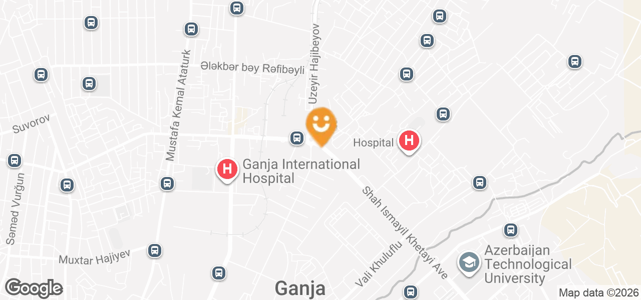 Hyundai Auto Parts Store (Ganja)