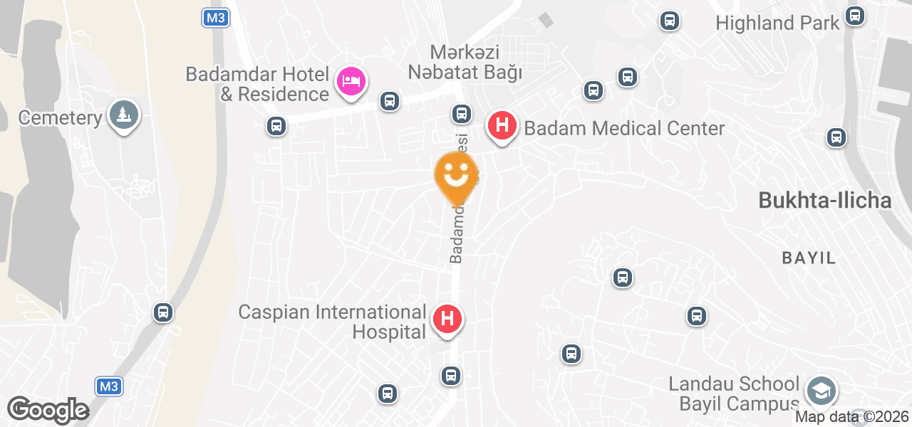 Palmed sahələrin yaşıllaşdırılması və dizaynı (Bakı)