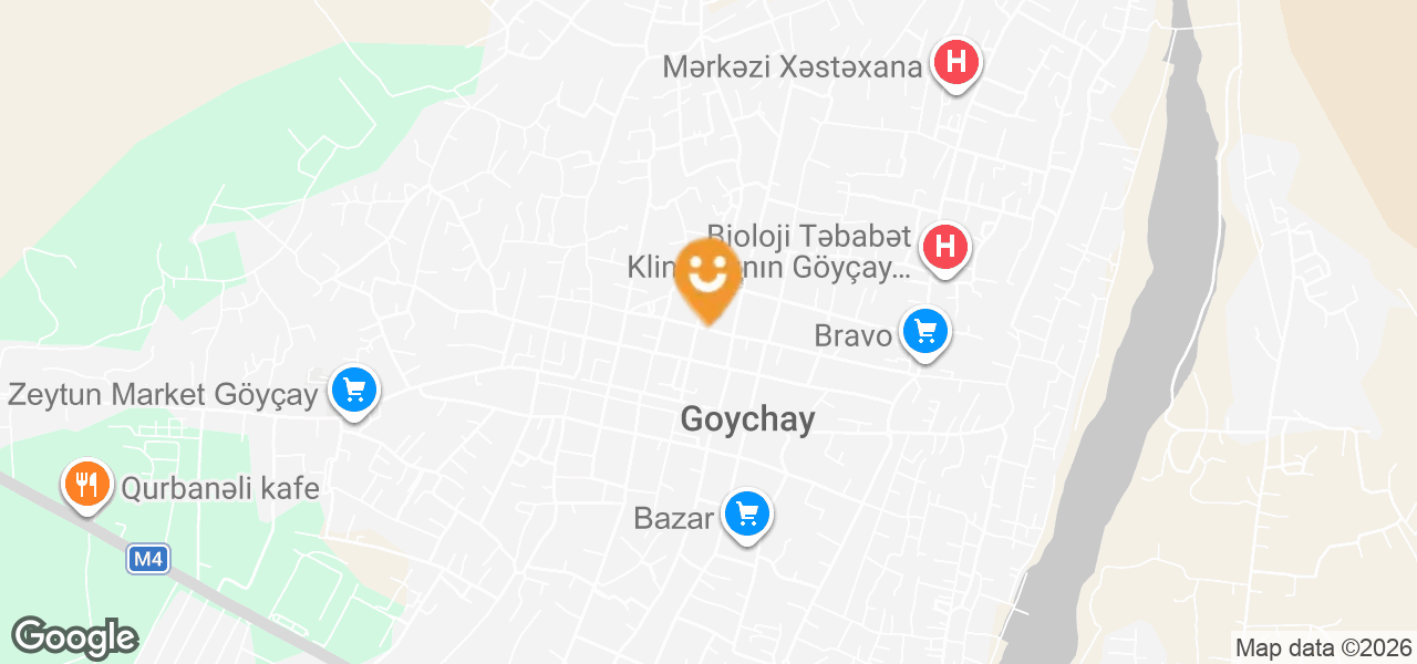 Central Library of the Goeychay District Centralized Library System (Goychay)