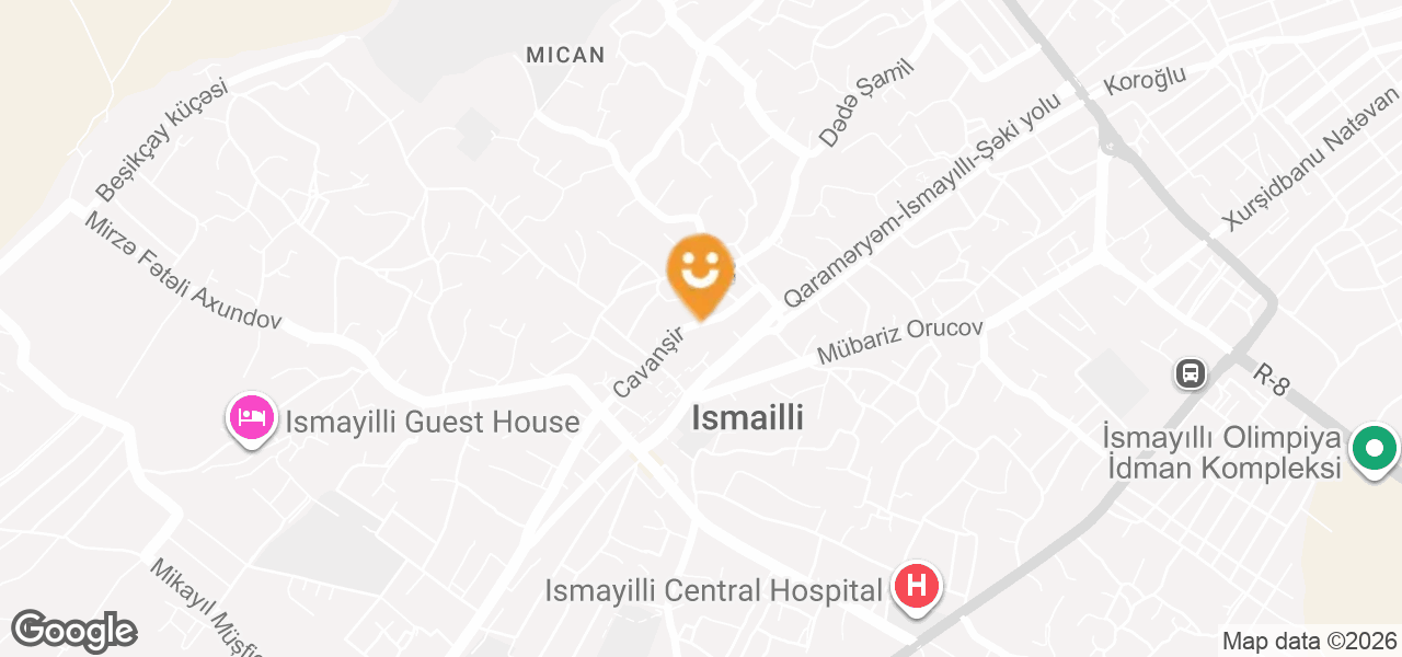 Elegant Electronics Electrical Store (Ismayilli)