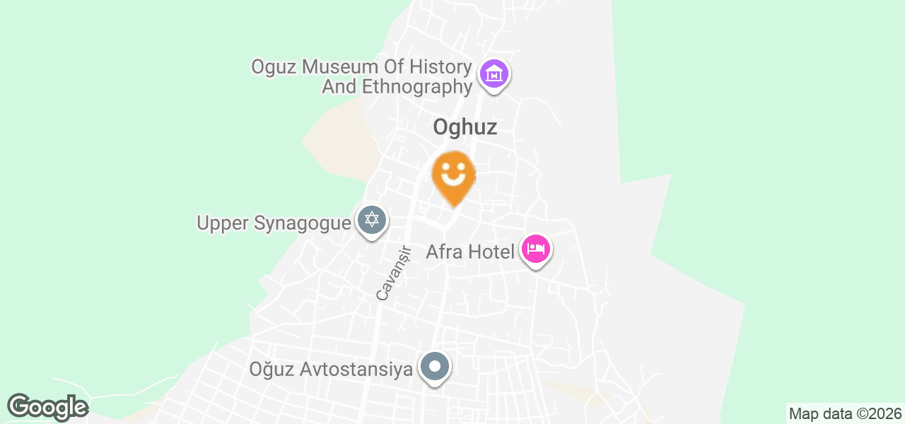 Vestel Electronics Store (Oguz)