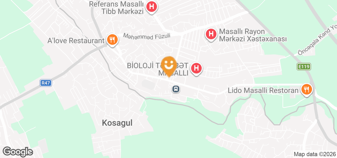 Traffic Light (Masalli)