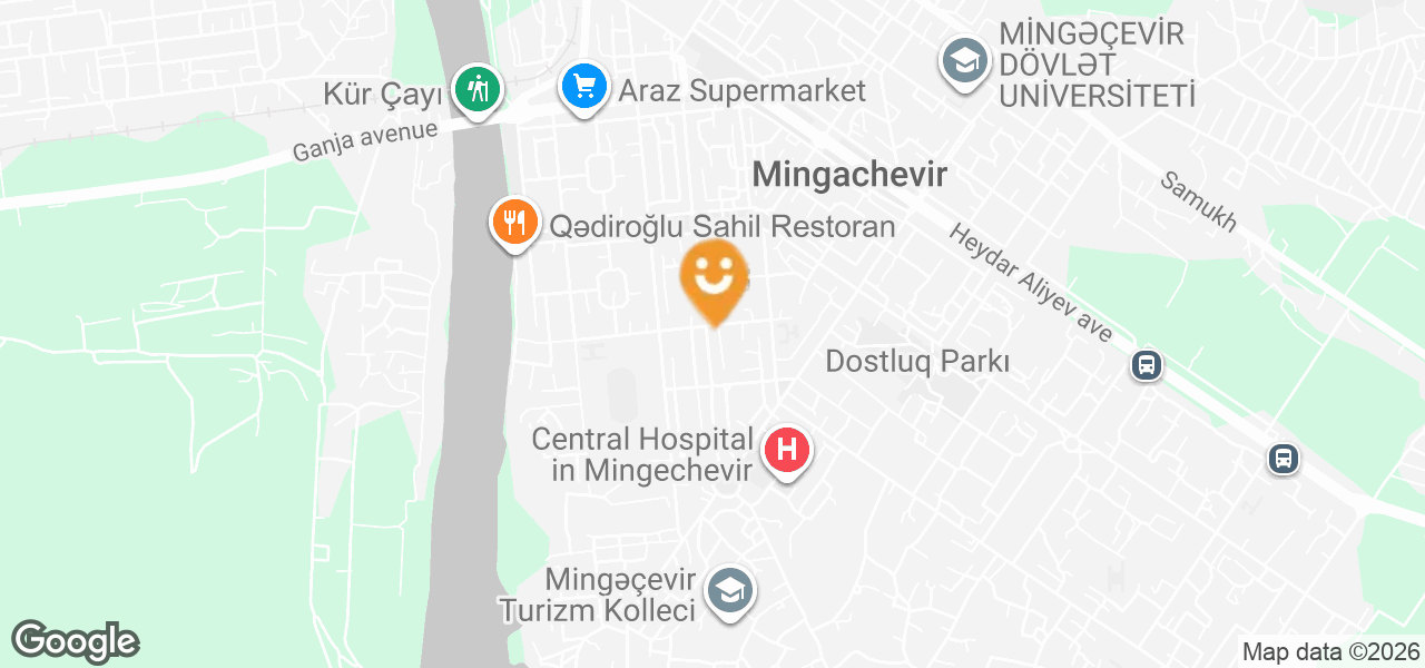 Avtoehtiyat hissələri mağazası (Mingəçevir)