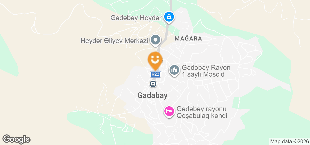 Avtoehtiyat hissələri mağazası (Gədəbəy)