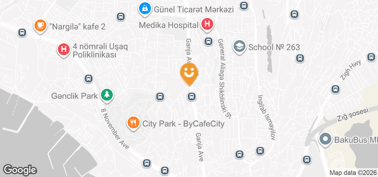 Auto Spare Parts Store (Baku)