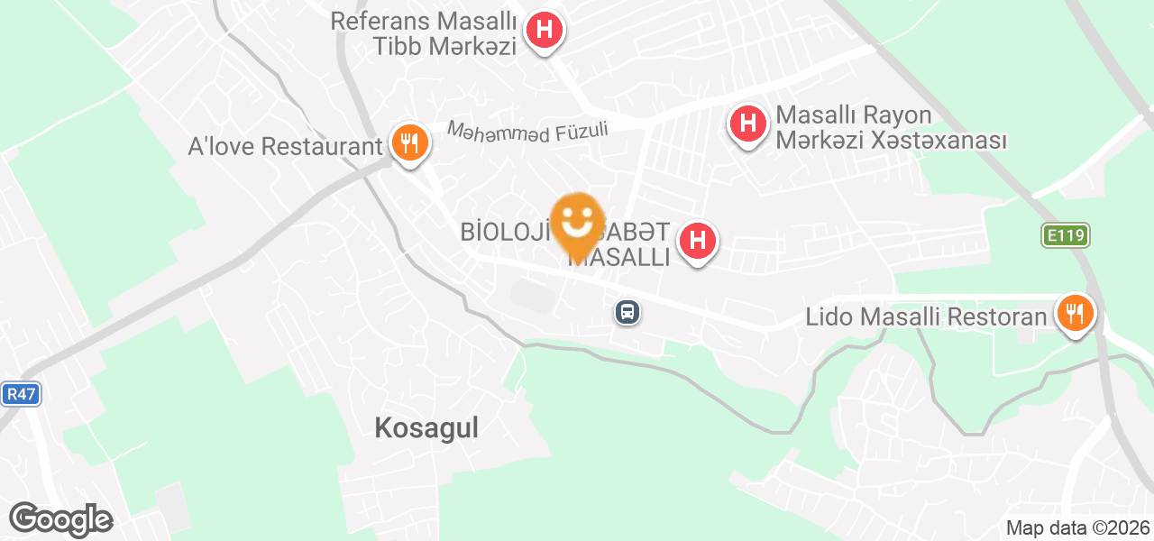 YAP-ın Masallı Rayon Təşkilatı