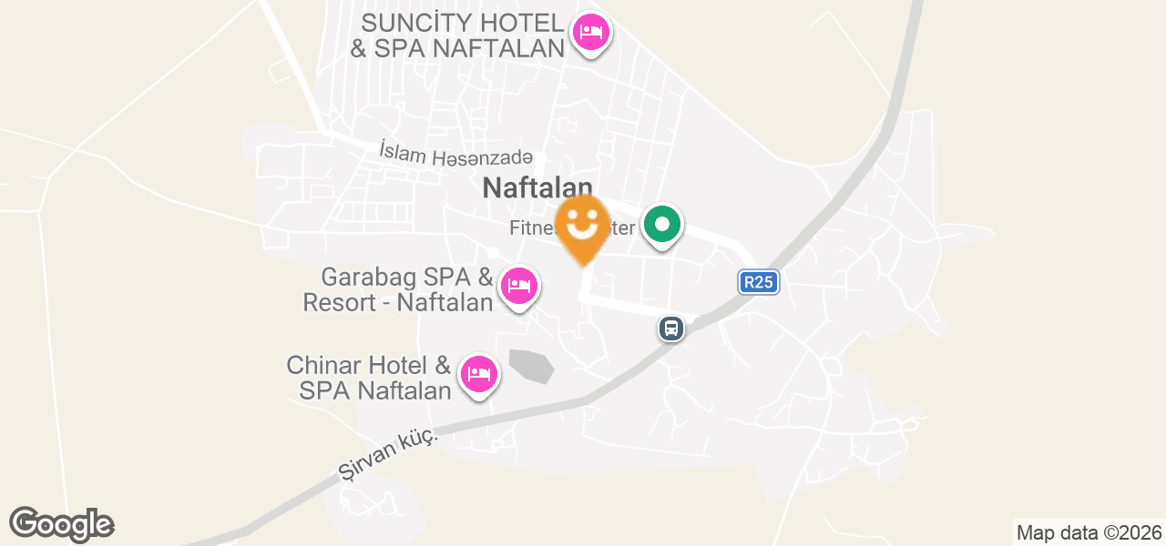 YAP-ın Naftalan Şəhər Təşkilatı (Goranboy)